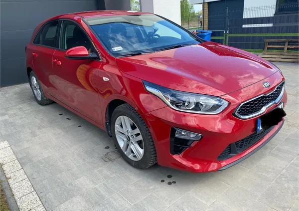 kia ceed łódzkie Kia Ceed cena 60700 przebieg: 50000, rok produkcji 2019 z Bełchatów